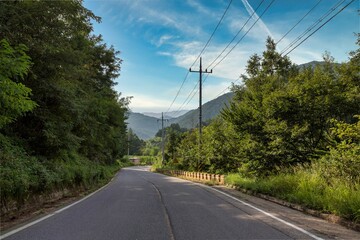 Fototapeta premium Road in the Forest in Soft Light