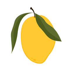 Mango vector. Mango on white background. logo design. Mango cartoon vector. Thailand dessert.