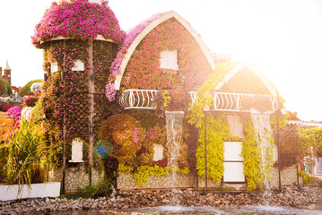 Flower houses at Miracle garden in Dubai, beautiful park with many flowers and decoration