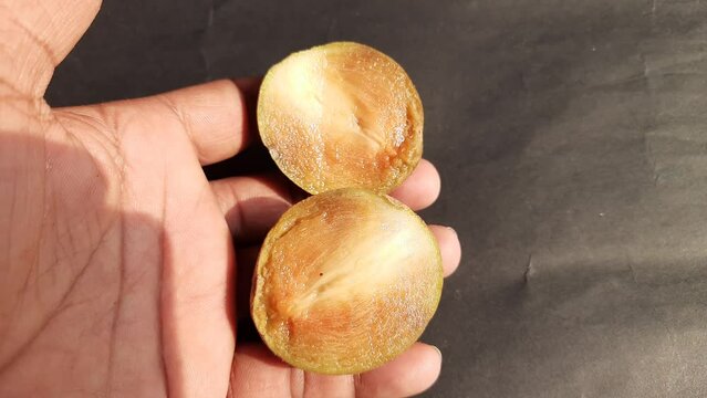 Manilkara zapota fruits. Its other names apodilla fruits, sapote,&nbsp;chicozapote,&nbsp;chico fruits,&nbsp;chicle fruit,&nbsp;naseberry, and nispero. Popular and tasty fruits. 
