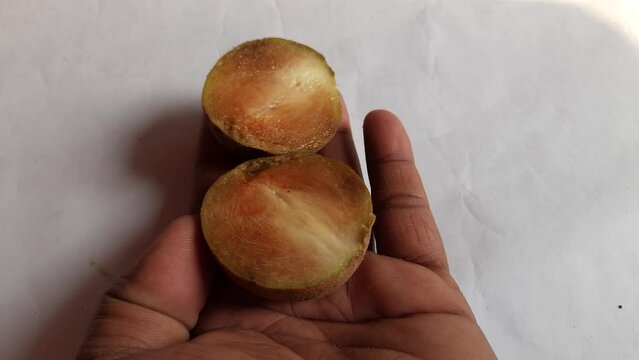 Manilkara zapota fruits. Its other names apodilla fruits, sapote,&nbsp;chicozapote,&nbsp;chico fruits,&nbsp;chicle fruit,&nbsp;naseberry, and nispero. Popular and tasty fruits. 
