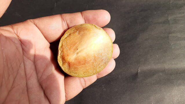 Manilkara zapota fruits. Its other names apodilla fruits, sapote,&nbsp;chicozapote,&nbsp;chico fruits,&nbsp;chicle fruit,&nbsp;naseberry, and nispero. Popular and tasty fruits. 
