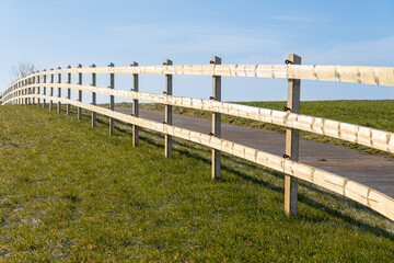 Fototapeta premium Horse meadow with a road next to it