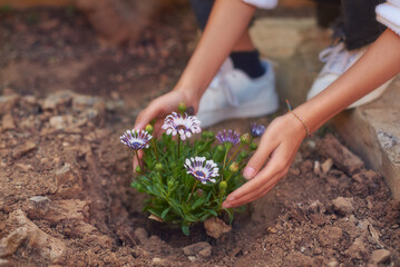 the hands and the flower
