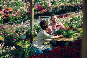 Multiracial couple of gardeners working in a greenhouse