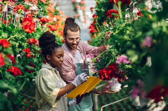 Multiracial couple of gardeners working in a greenhouse and using clipboard