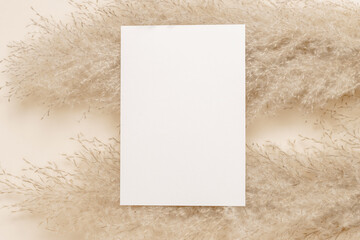 Paper sheet mockup card on pampas fuzzy grass. Aesthetic minimal background card for invitation,...