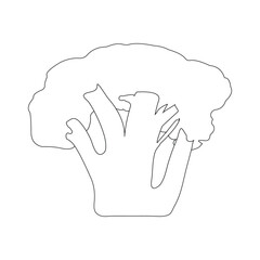 broccoli icon vector