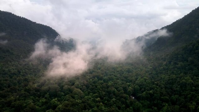 Epic Aerial Shot of Drone flying through clouds in Vast Rainforest Jungle Landscape Background Texture Cloudy Weather in Sumbawa island, Indonesia. Cinematic Drone 4k.