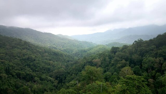 Epic Aerial Shot of Vast Rainforest Jungle Landscape Background Texture Cloudy Weather in Sumbawa island, Indonesia. Cinematic Drone 4k.