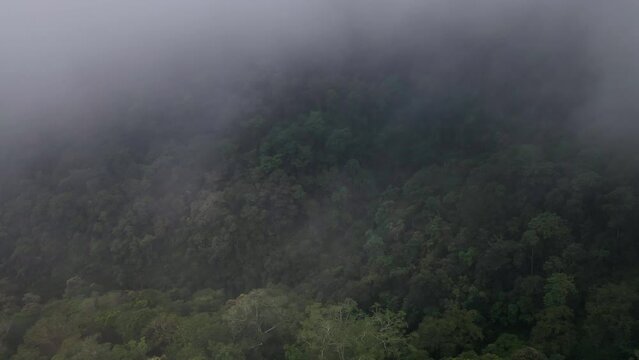 Drone exiting clouds to reveal Rainforest Jungle Landscape Background Texture Cloudy Weather in Sumbawa island, Indonesia. Cinematic Drone 4k.
