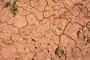 A cracked soil surface with red clay in a desert isolated in sunny day, close-up