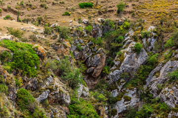 Rocks and green plant natural background on the edge of the cliff