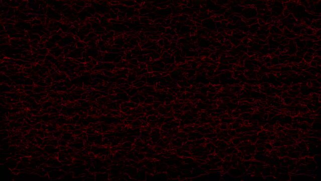 Very fast red threads and knots on the black background. Asbtract smooth web. Abstract digital wave. Futuristic point wave. Big data. 60 fps 3D rendering.