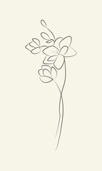 Flowers continuous line art. Abstract minimal hand drawing sketch. Vector illustration.