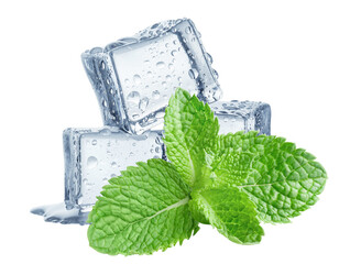 Three ice cubes with mint leaves, cut out