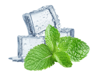 Three ice cubes with mint leaves, cut out