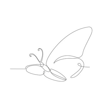 Continuous line art or one line butterfly drawing for vector illustration, insects in spring. flying butterfly concept