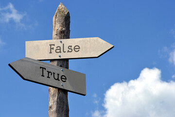 True and false - wooden signpost with two arrows, sky with clouds