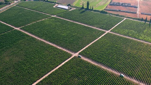 Aerial shot of farmers inspecting the healthy segregated vineyards in Maipo Valley, Chile
