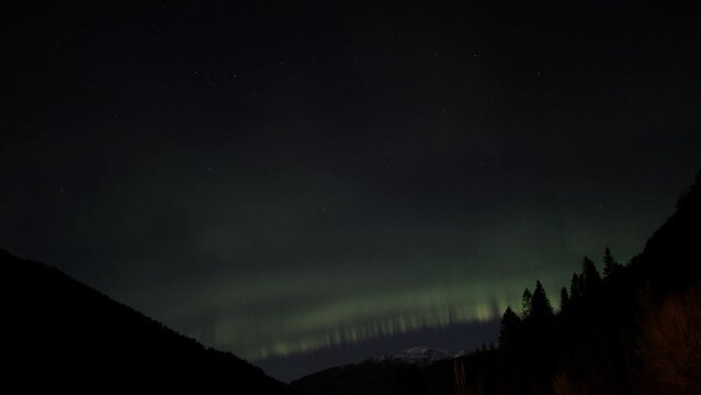 Medium strength northern lights slowly playing above silhouette mountain and treetops in Stamnes at western Norway