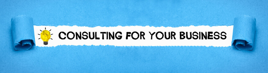 Consulting for your Business	