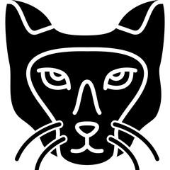 Colorpoint Shorthair Cat Icon
