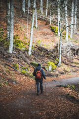 Obraz premium Randonneur en Auvergne