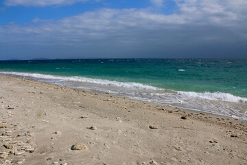 Fototapeta na wymiar Seascape. Ocean is shaking. Small waves roll on the sandy beach in cloudy weather.