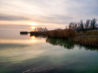 Sunset lights in the reed in lake Balaton of Hungary