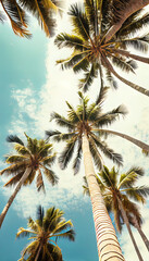 Fototapeta na wymiar Palm trees seen from the ground on the beach. AI render.