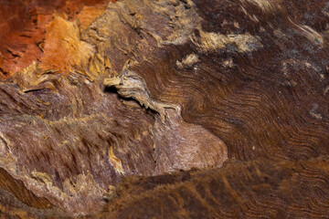 close-up of chopped wood texture