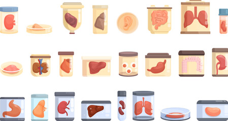 Growing Organs icons set cartoon vector. Human heart. Medicine mind
