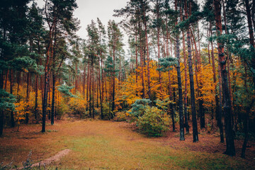 Ostseebad Kühlungsborn