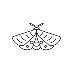 Moth insect icon. High quality black vector illustration.