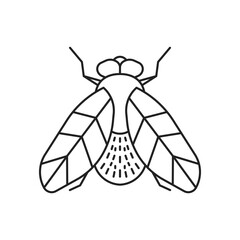 Fly insect icon. High quality black vector illustration.