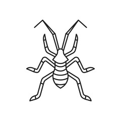 Coreidae insect icon. High quality black vector illustration.
