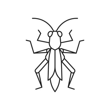 Cricket insect icon. High quality black vector illustration.