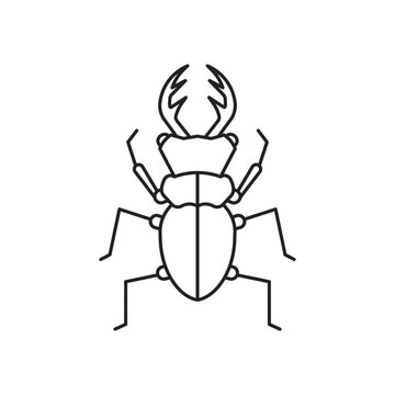 Stag beetle insect icon. High quality black vector illustration.