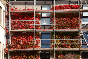 Baugerüst, Hausfassade, Modernes Wohngebäude, Baustelle, Herbst, Bremen, Deutschland