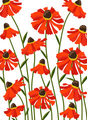 Fototapeta premium Helenium autumnal flower background.Eps 10 vector.