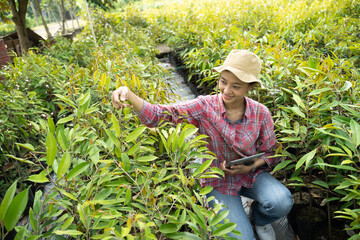 Female farmer using digital tablet while observing plant seeds in polybags in nursery