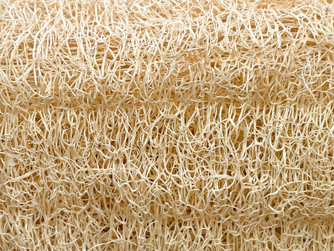 dried luffa loofah spa zero waste clean and scrub your skin 