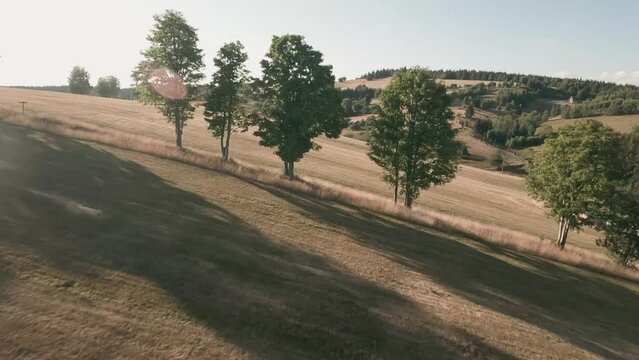 Aerial racing drone footage. Flying forward in between deciduous trees and above a tractor gathering hay on a meadow in a countryside with spruce forest in the background. LuPa Creative.