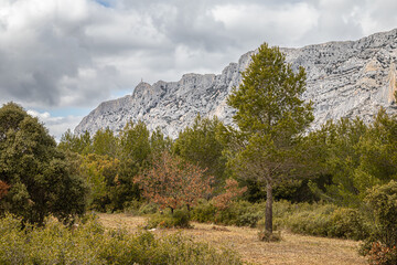 the Sainte Victoire mountain seen from the Cengle plateau