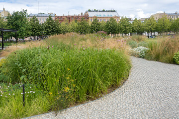 Saint Petersburg, flower beds on the island of New Holland