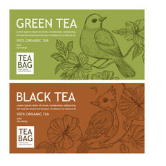 TEA PACKAGE WITH BIRD And Hibiscus Flower In Vintage Sketch Style Box Label Or Banners Design For Green And Black Tea Printable Vector for Modern Typography