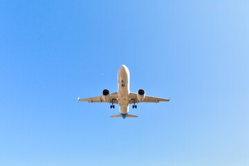 airplane in flight