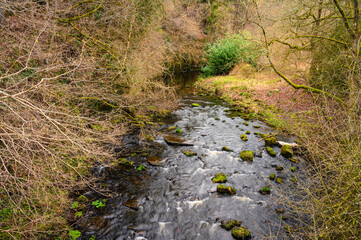 Muggleswick Woods in River Derwent Gorge, formed by the meeting of two burns in the North Pennines and flows between the boundaries of Durham and Northumberland as a tributary of the River Tyne
