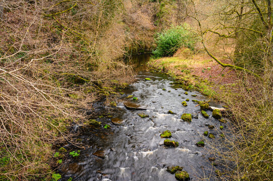 Muggleswick Woods in River Derwent Gorge, formed by the meeting of two burns in the North Pennines and flows between the boundaries of Durham and Northumberland as a tributary of the River Tyne